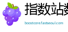 指数站数字研究