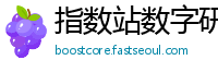 指数站数字研究
